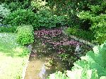 2006-0608-1213-59.jpg